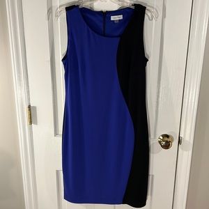 Calvin Klein Dress Size 10